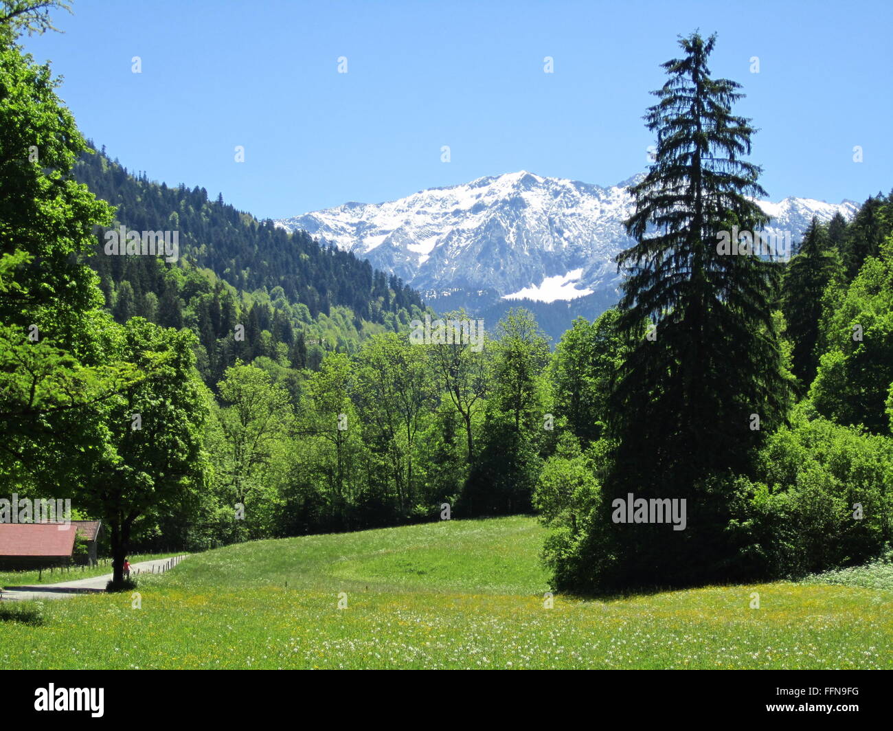 geography / travel, Germany, Bavaria, landscape, Wetterstein, Werdenfelser Land, Wildenauer Strasse, Partnach Valley, Additional-Rights-Clearance-Info-Not-Available Stock Photo