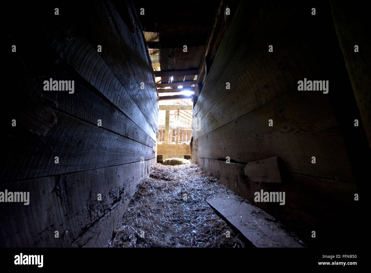 barn interior passageway low point of view Stock Photo