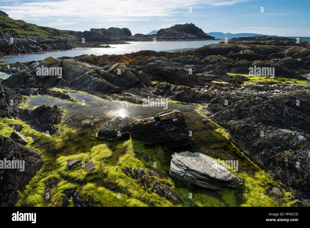 rocky shore pool with green seaweed much texture knock at sleat Stock Photo