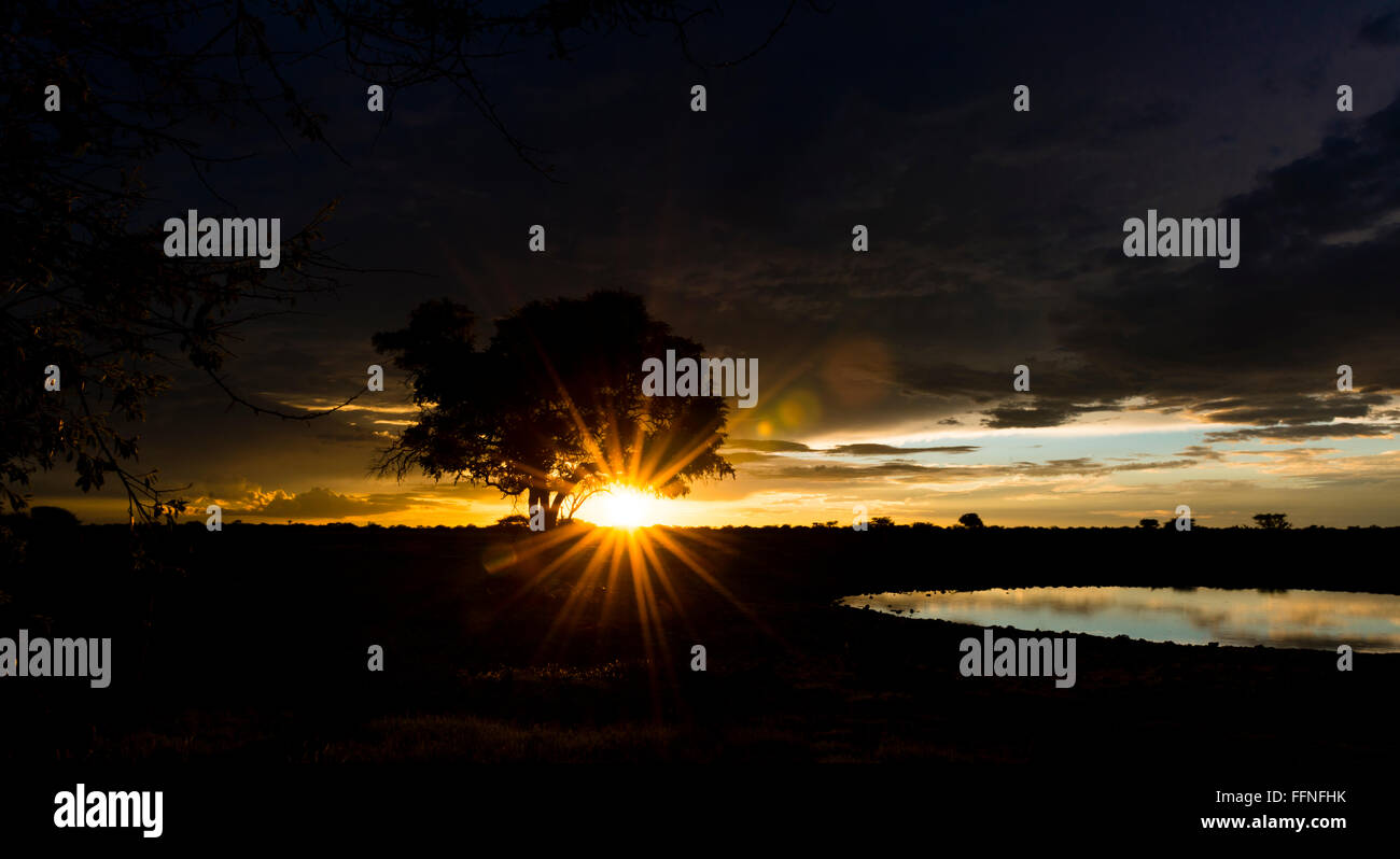 Sunset in africa hi-res stock photography and images - Alamy