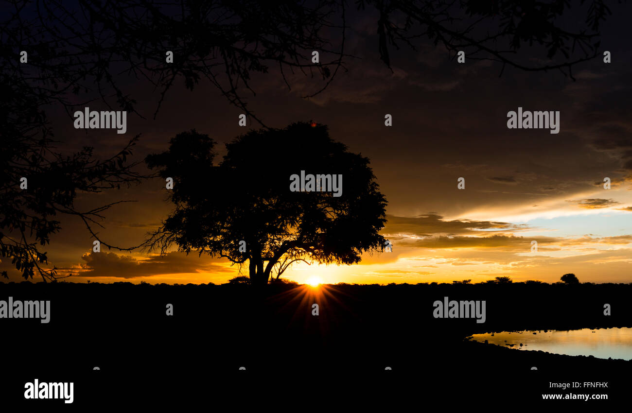 Safari africa sunrise sunset hi-res stock photography and images - Alamy