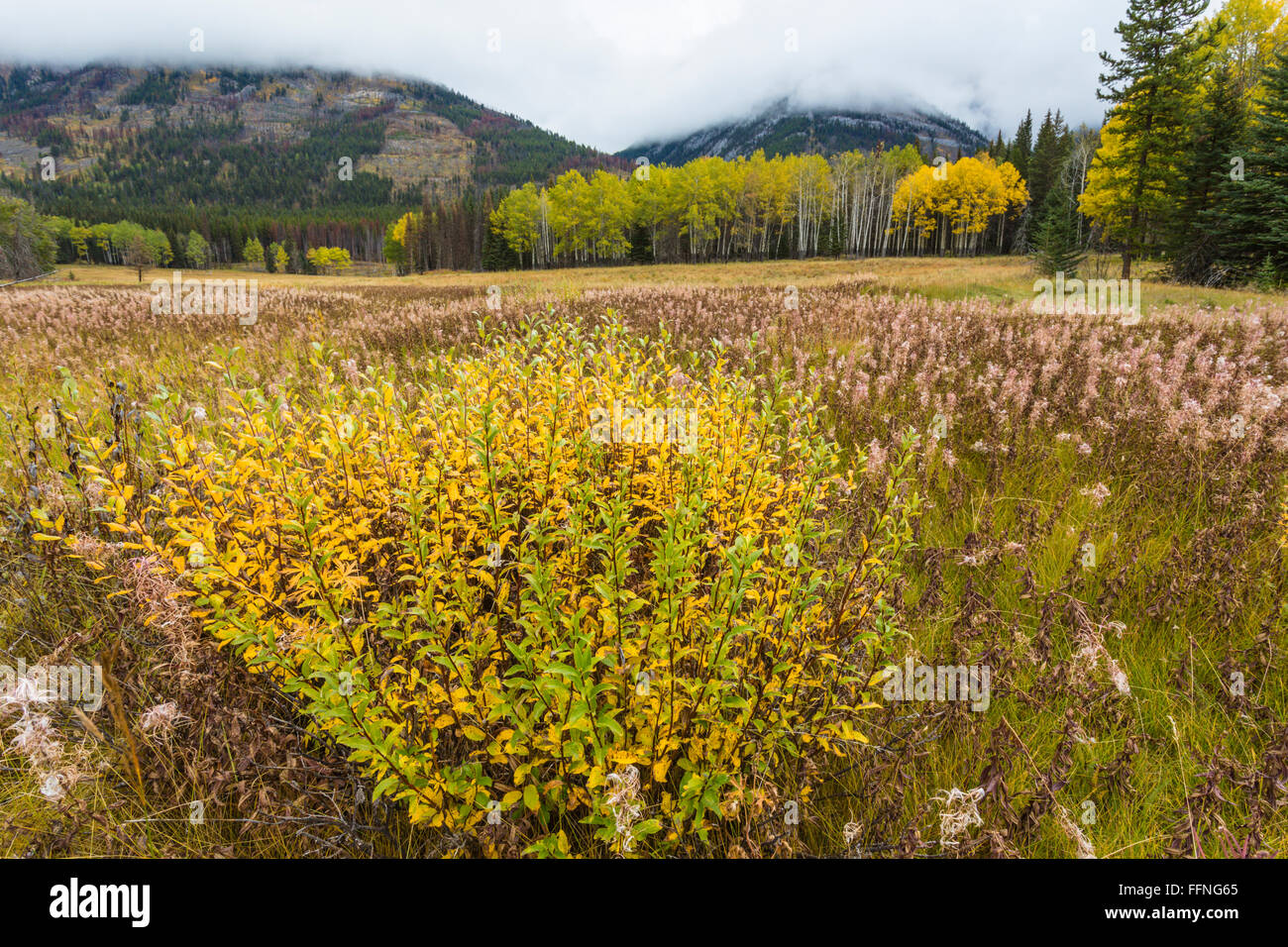 Sawback, Bow Valley Parkway, Banff Nationalpark, Alberta, Canada Stock