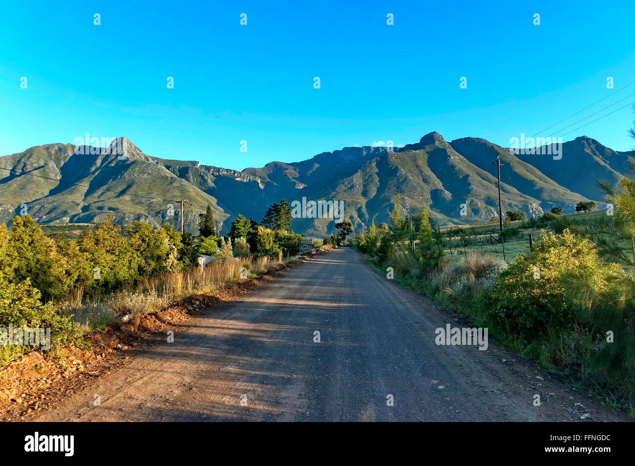Road in Swellendam area in early morning, Langeberg mountain, Western Cape South Africa Stock Photo