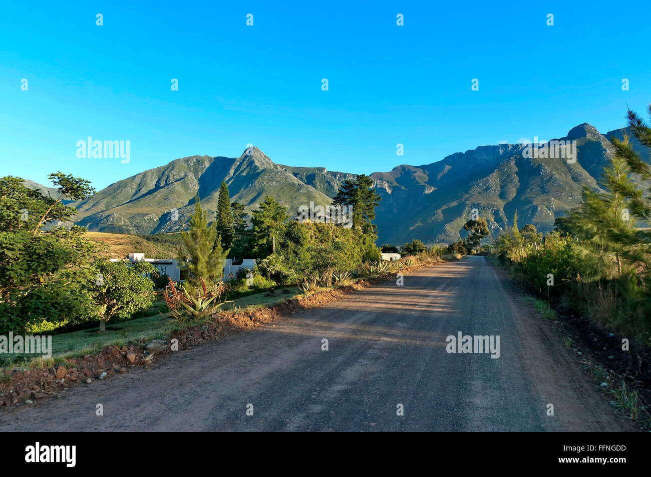 Road in Swellendam area in early morning, Langeberg mountain, Western Cape South Africa Stock Photo