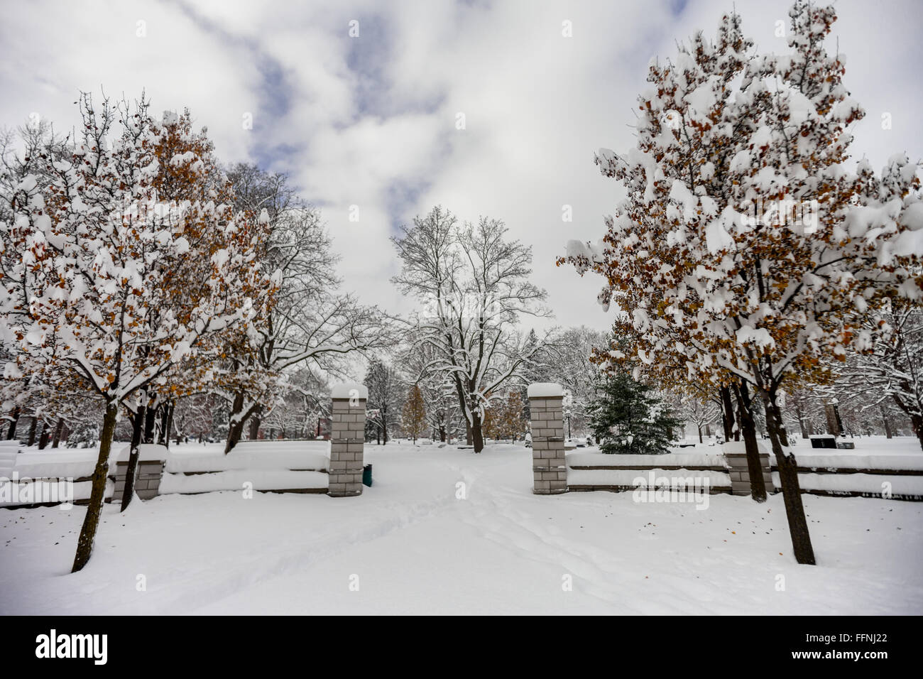London, Canada - November 24, 2013. Trees and the entrance to Victoria Park are covered in snow after more than 60cm fell. Stock Photo