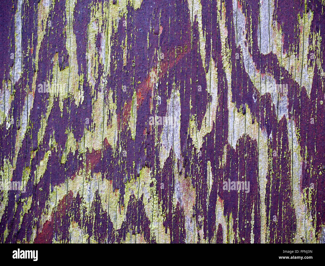 Peeling paintwork on an old wooden fence in Faversham Stock Photo