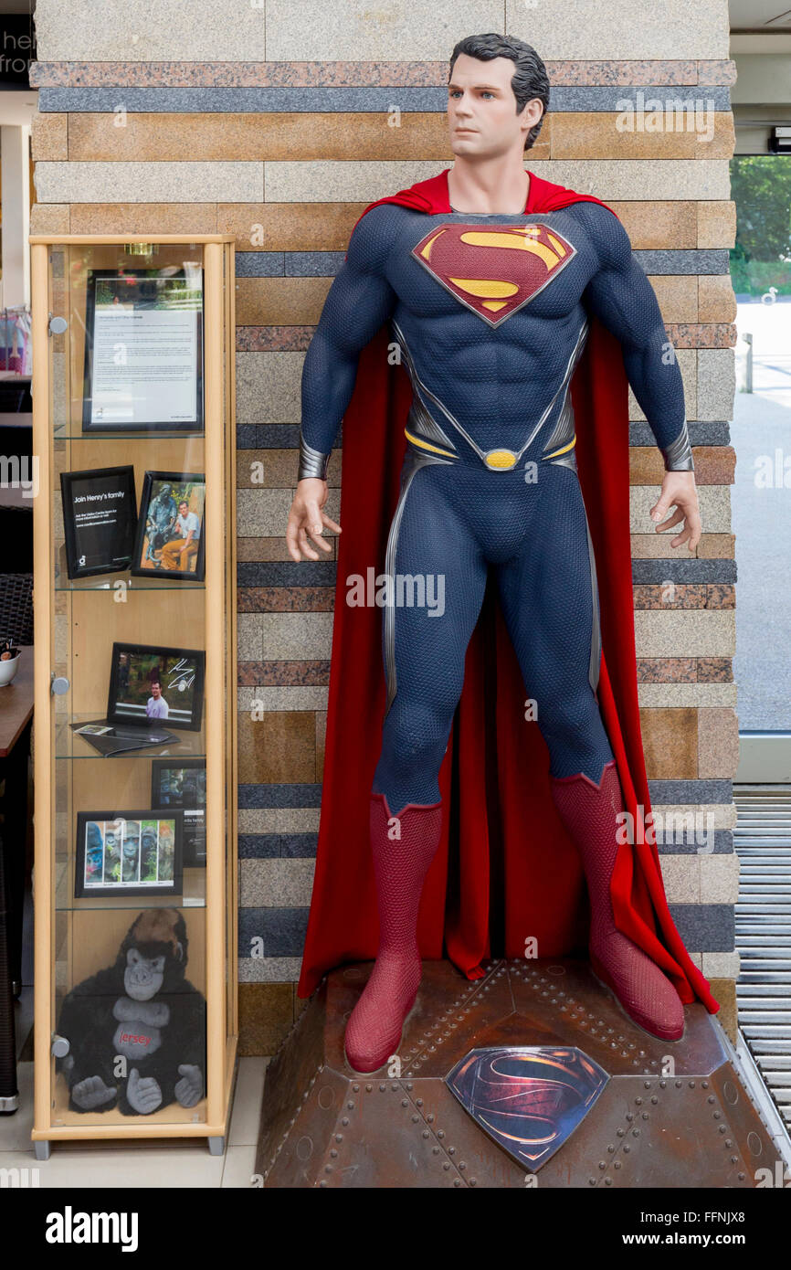 Durrell Wildlife Conservation Trust Jersey Born Actor Henry Cavill Superman Life Size Statue Manikin In Entrance Display Stock Photo Alamy