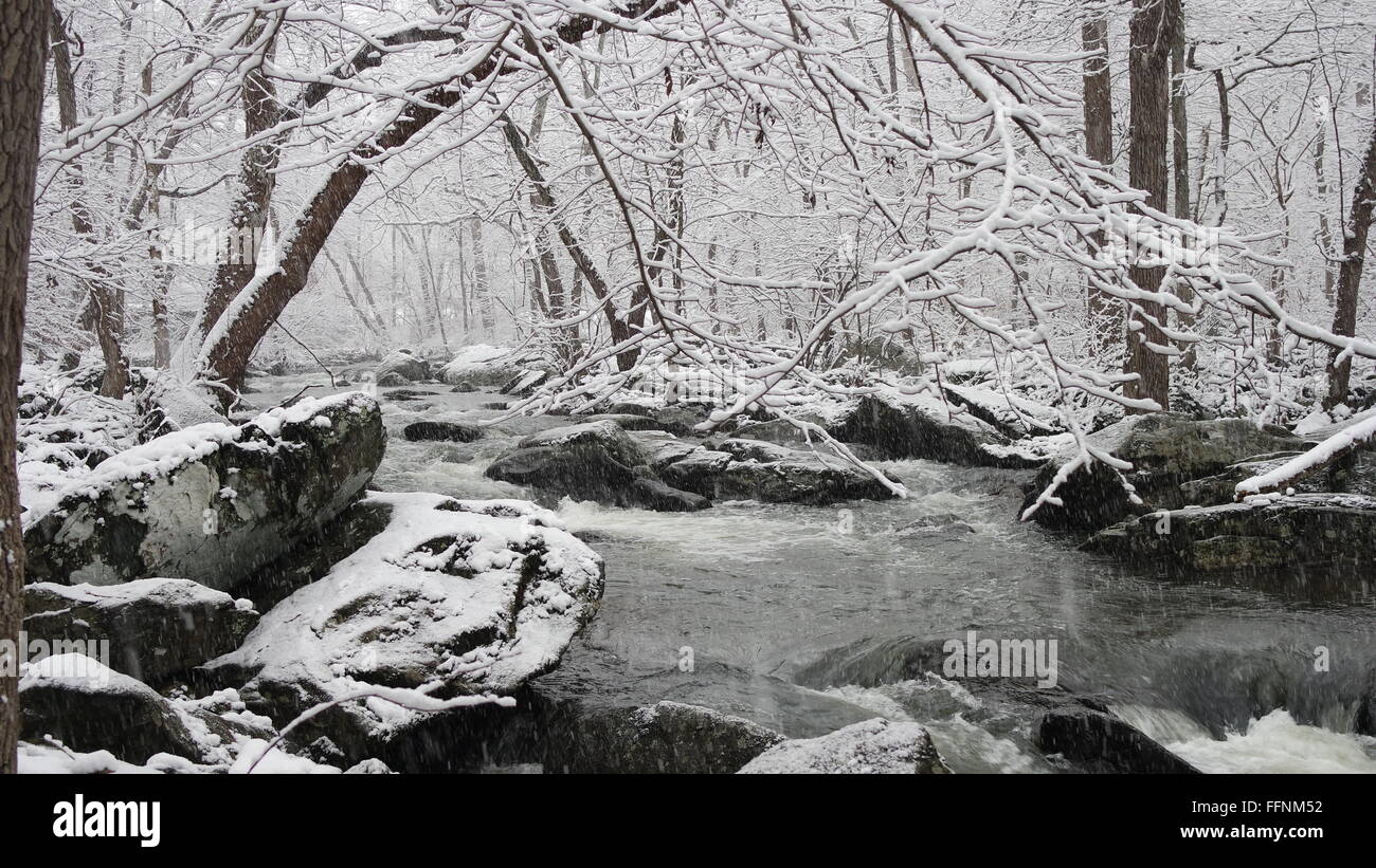 The West Branch of the Brandywine Creek during a winter storm Stock Photo Alamy