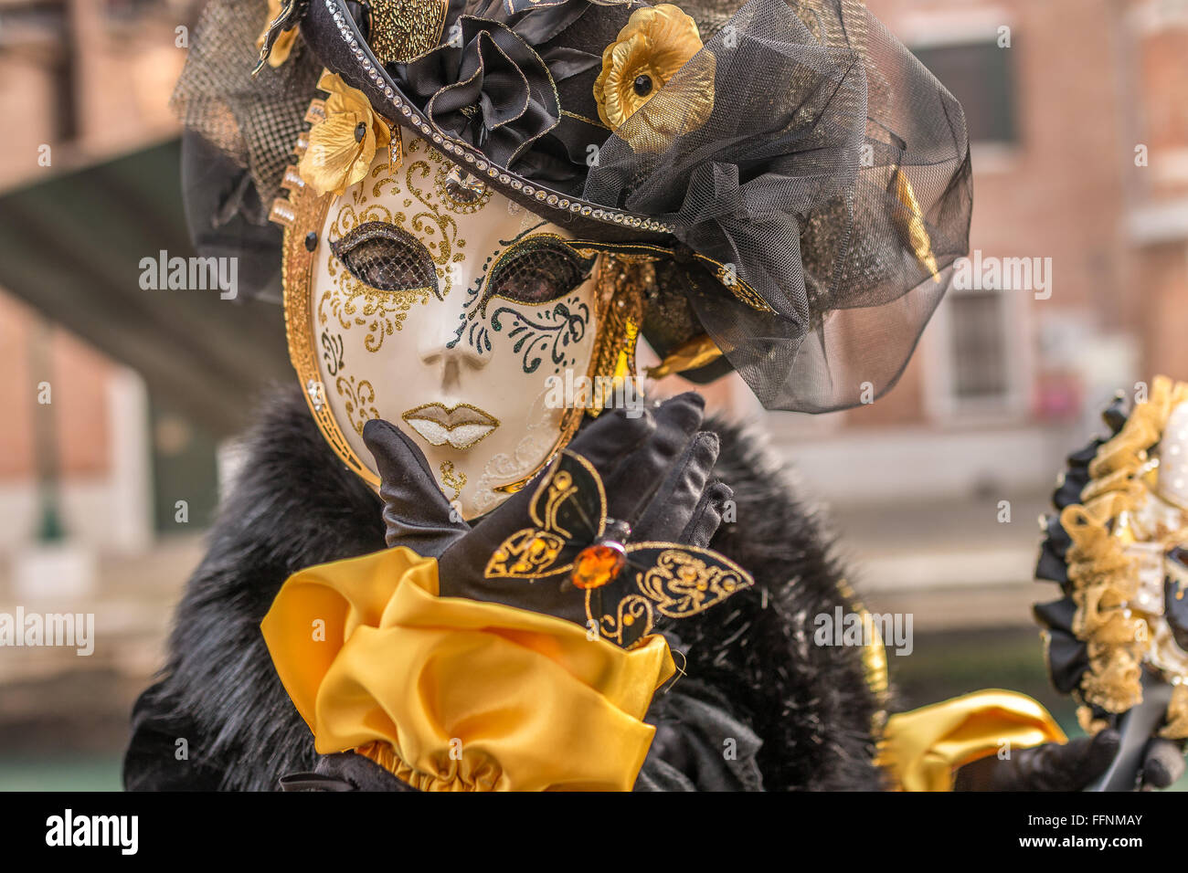 Venice carnival costume and mask Stock Photo - Alamy