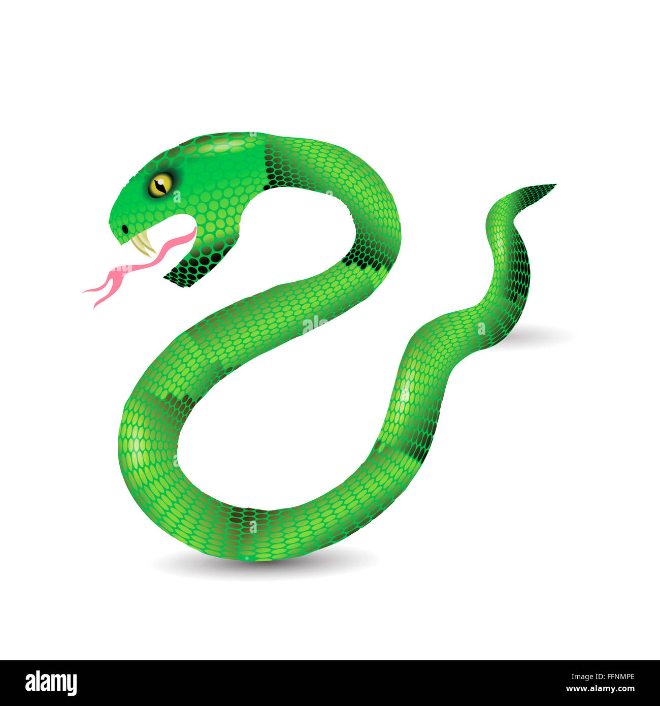 Green snake cutout hi-res stock photography and images - Alamy