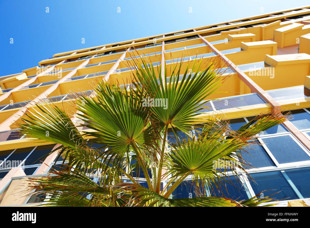 The palm tree and building, Malta Stock Photo Alamy