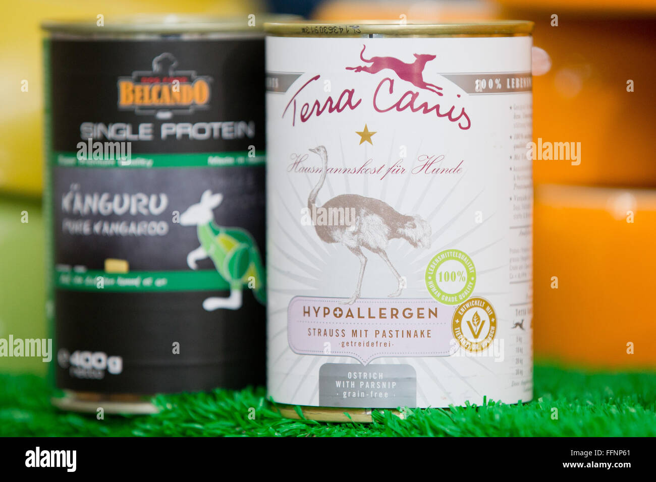 cat keeps scratching itself