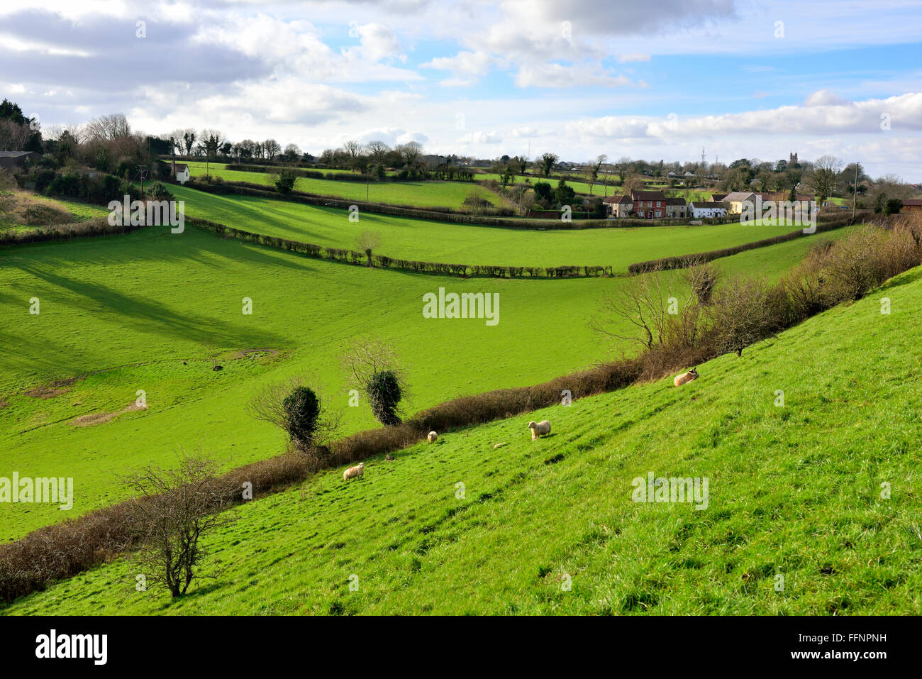 Countryside of North Somerset near East Dundry Stock Photo