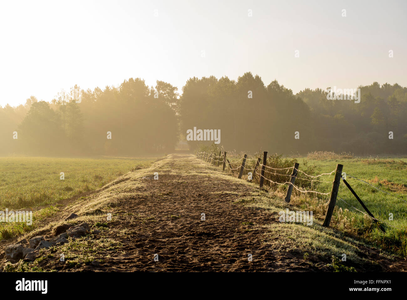 a photo of a dirt road in the fog Stock Photo - Alamy
