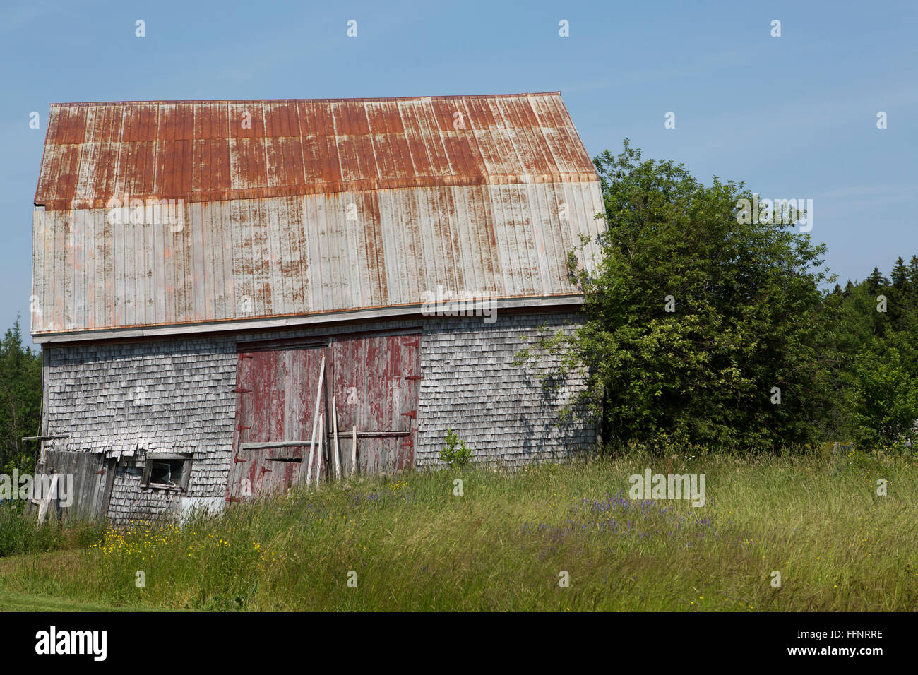 A barn in Nova Scotia, Canada. The aged agricultural building is made