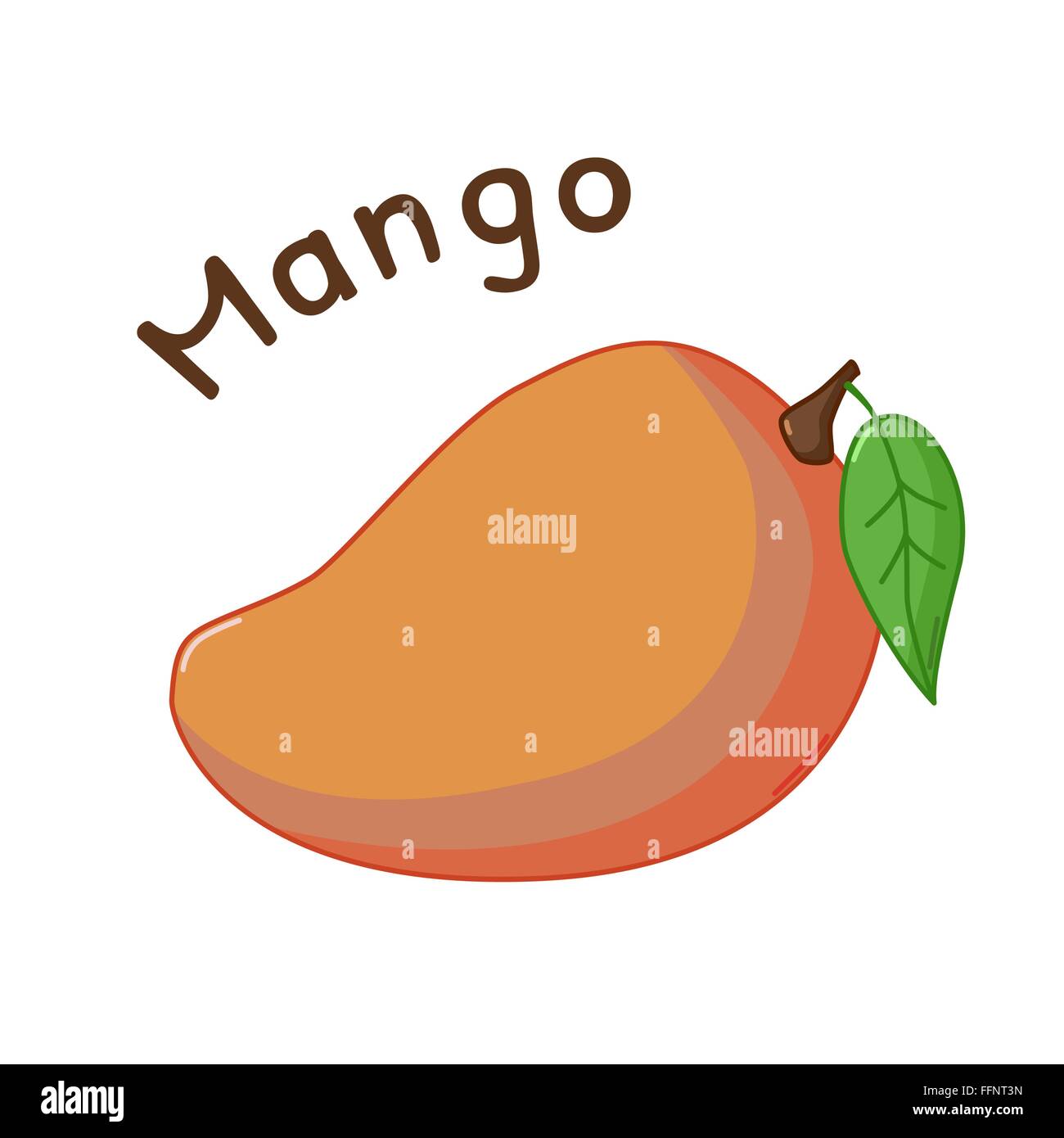 Isolated icon of raw mango with name Stock Vector Image & Art Alamy