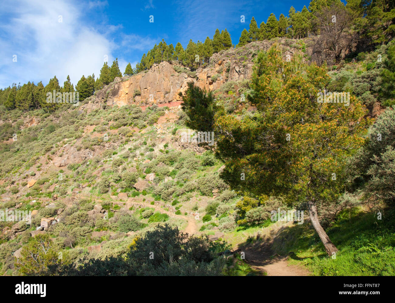 Gran Canaria, Caldera de Tejeda in February, hiking path along caldera wall, different colors visible in strata Stock Photo