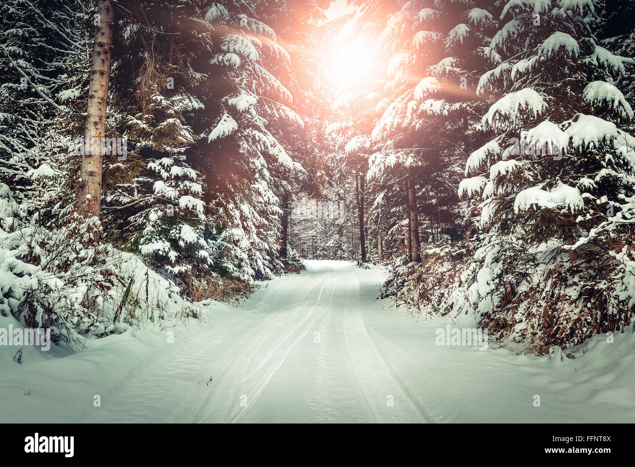 Winter landscape. Road covered in snow in dense forest Stock Photo - Alamy