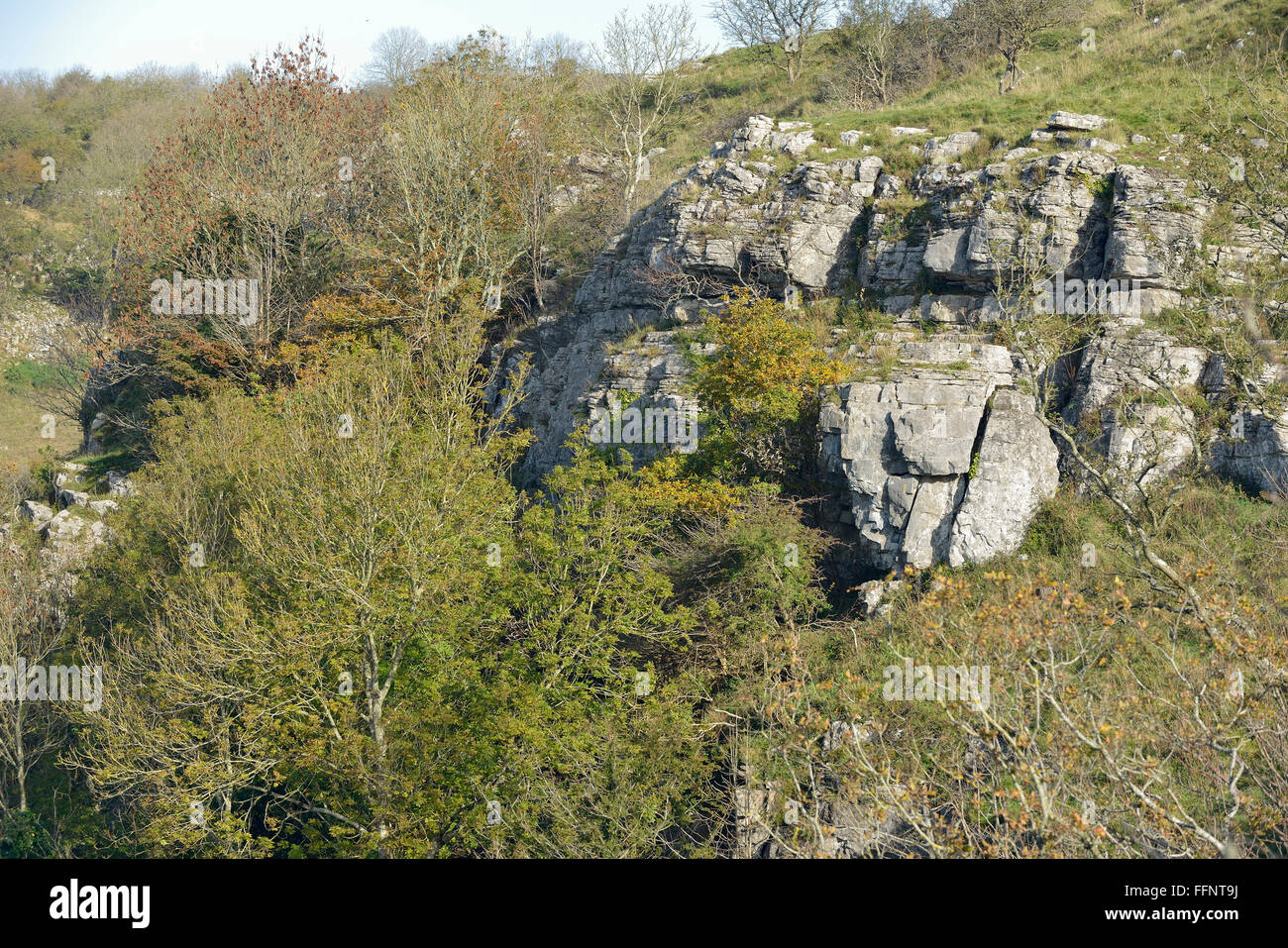 Limestone Crags among Trees Cheddar Gorge, Mendip Hills, Somerset Stock Photo