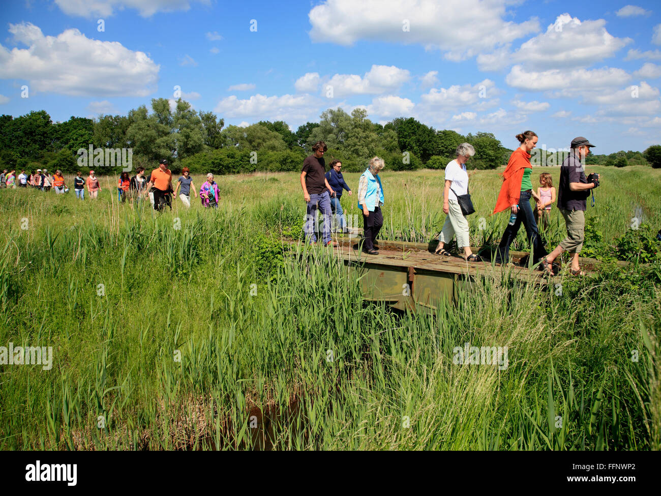 guided bike-tour GRUENES BAND near Volzendorf, Wendland, former border to DDR, Lower Saxony, Germany, Europe Stock Photo