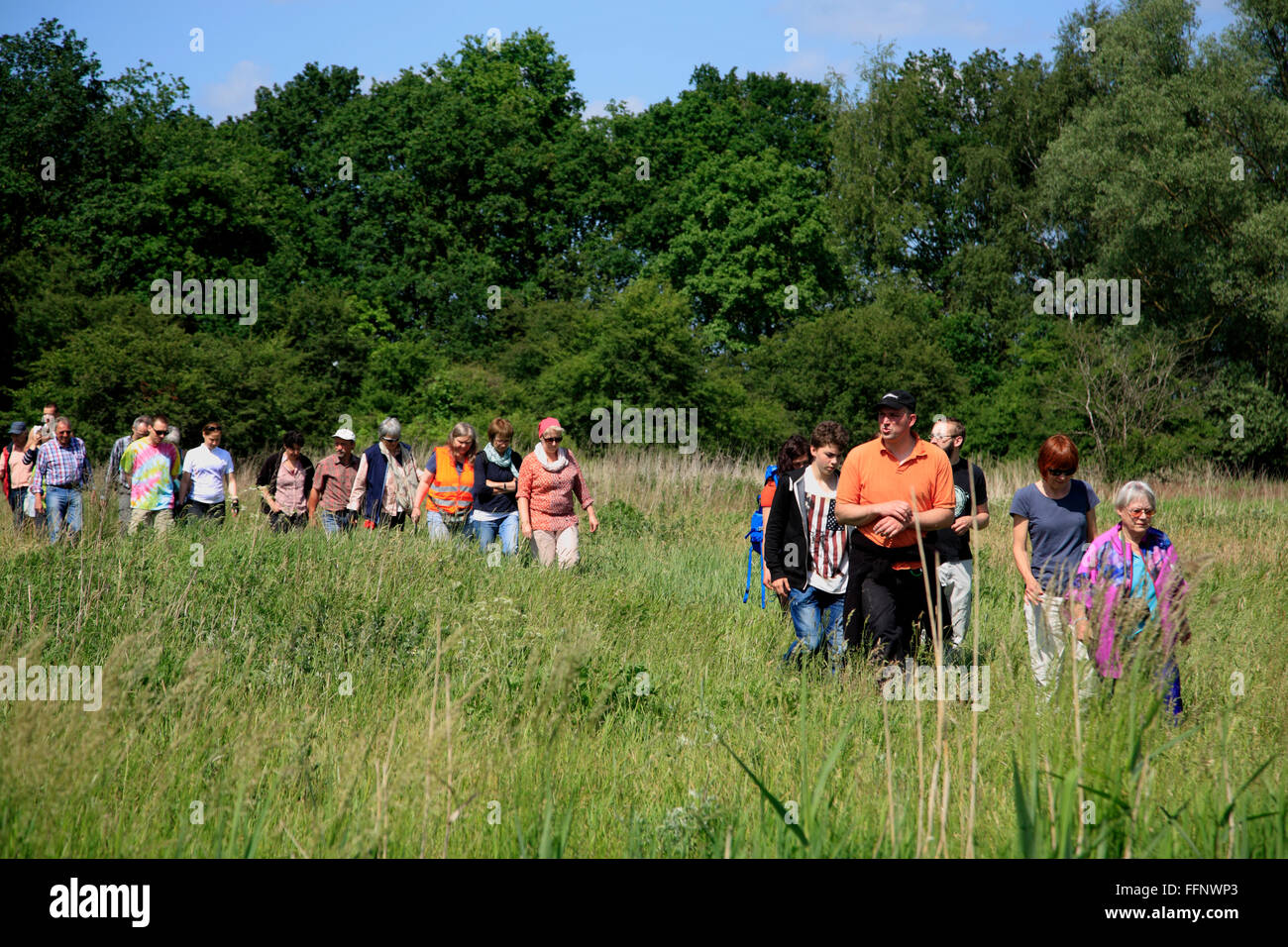 guided bike-tour GRUENES BAND near Volzendorf, Wendland, former border to DDR, Lower Saxony, Germany, Europe Stock Photo