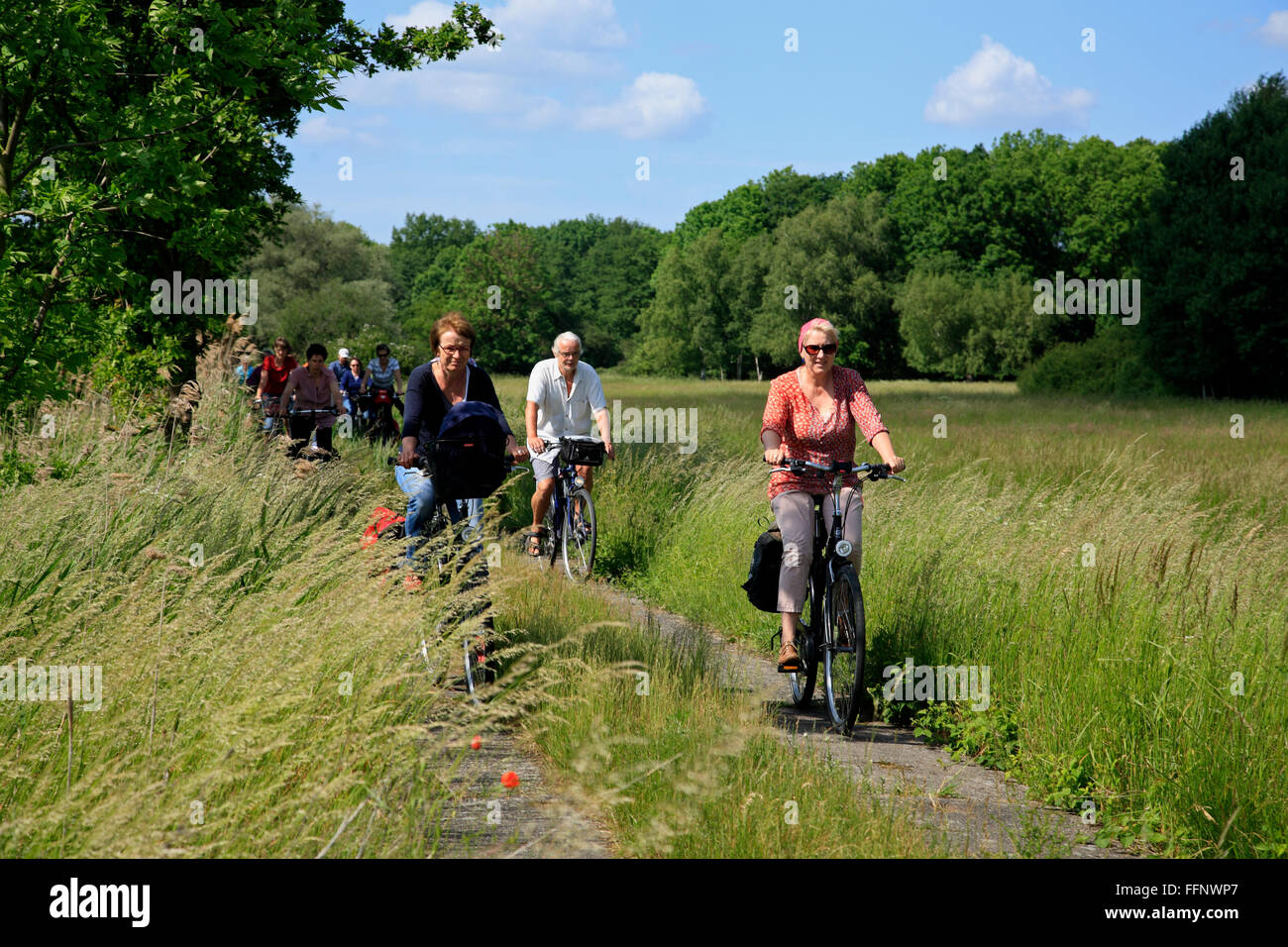 guided bike-tour GRUENES BAND near Volzendorf, Wendland, former border to DDR, Lower Saxony, Germany, Europe Stock Photo