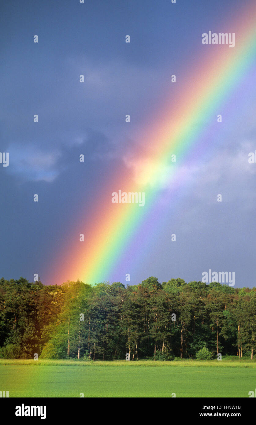 close rainbow in front of a forest Stock Photo