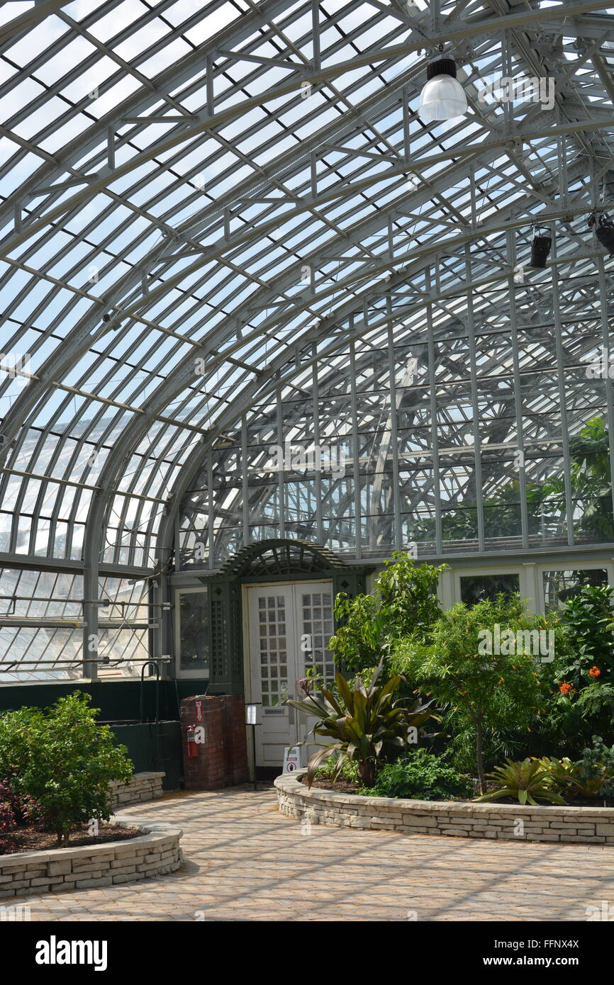The glass panes inside the Garfield Park Conservatory on Chicago's near