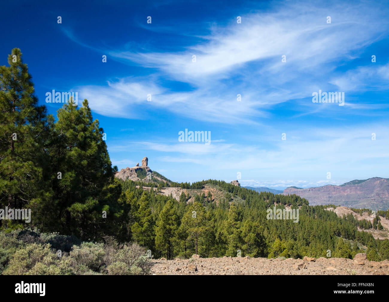 Gran Canaria, Las Cumbres - the highest areas of the island, views from hiking path Llanos de la Pez - Tunte Stock Photo