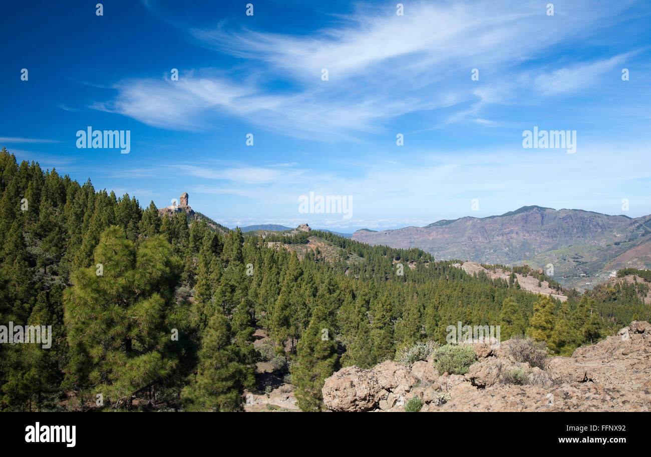 Gran Canaria, Las Cumbres - the highest areas of the island, views from hiking path Llanos de la Pez - Tunte Stock Photo