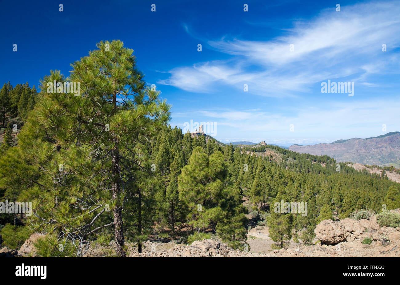 Gran Canaria, Las Cumbres - the highest areas of the island, views from hiking path Llanos de la Pez - Tunte Stock Photo