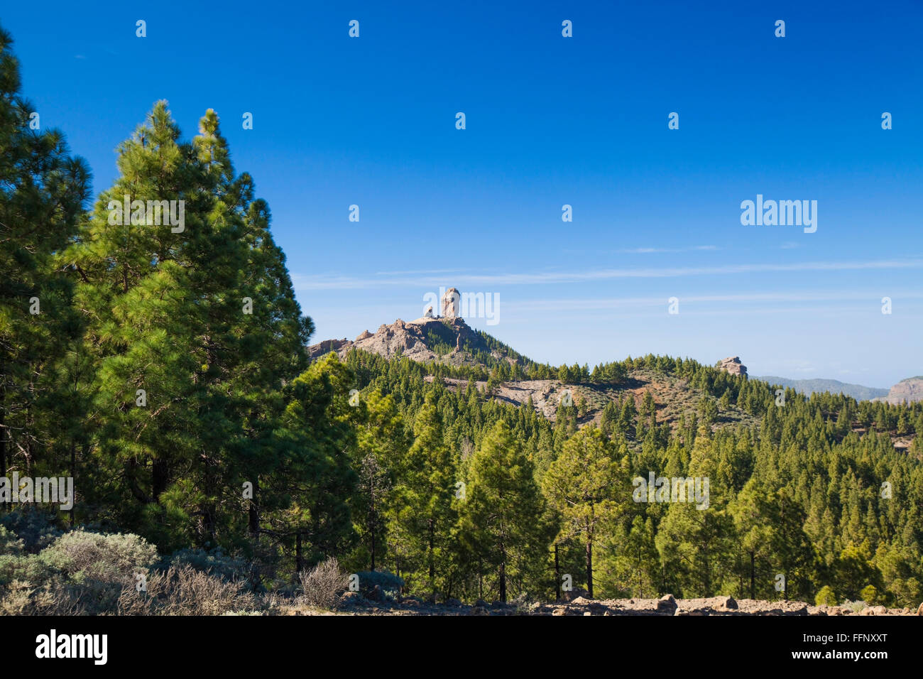 Gran Canaria, Las Cumbres - the highest areas of the island, views from hiking path Llanos de la Pez - Tunte Stock Photo