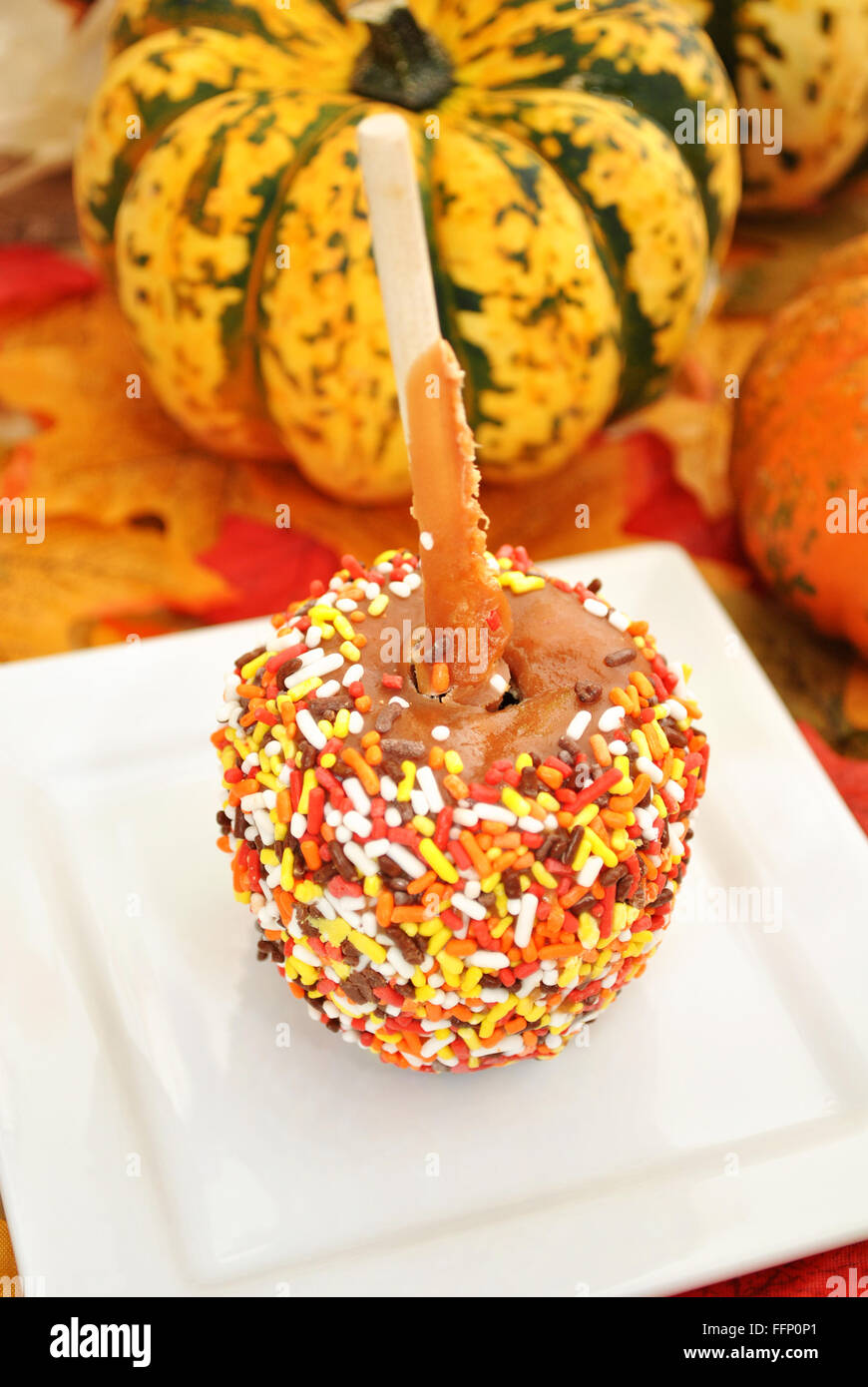 Fall Festive Candy Apple on a White Plate Stock Photo