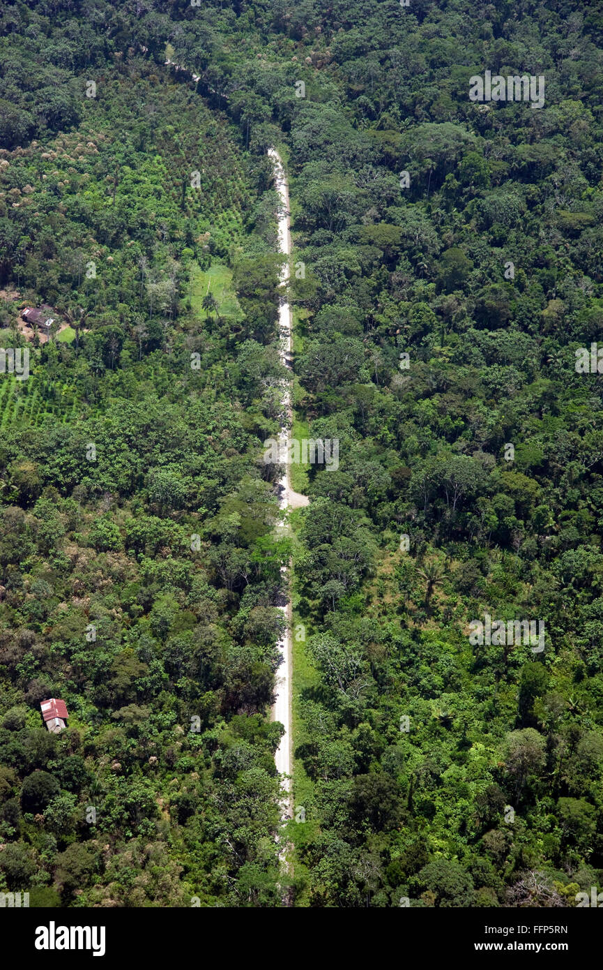 Aerial view of road through the Amazon rain forest. Stock Photo