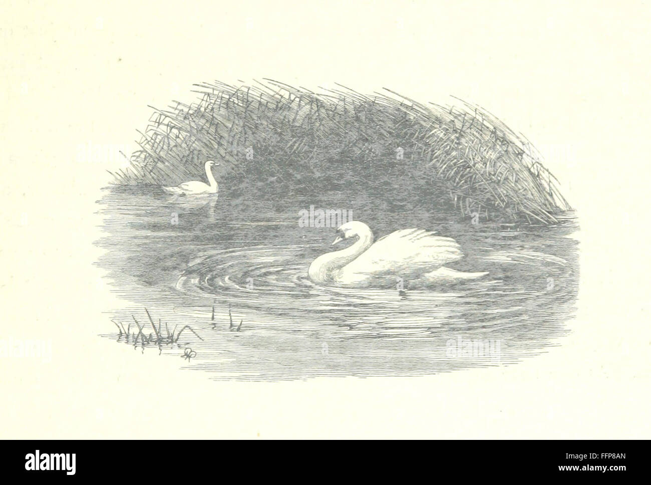 'The Thames from its Source to the Sea' offers a detailed exploration ...