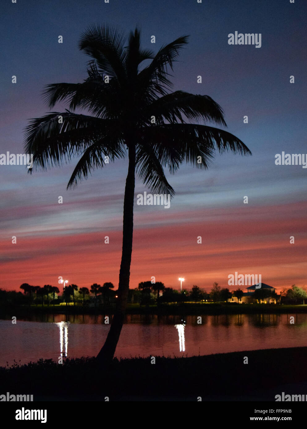 Palm Tree Sunset Stock Photo - Alamy