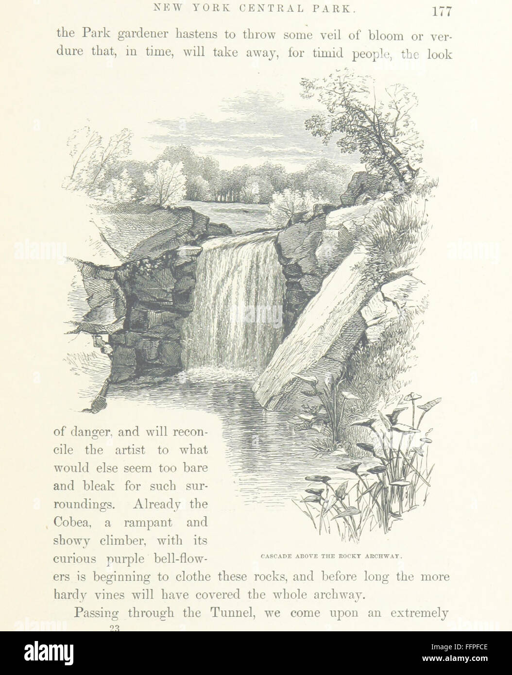 91 of 'A Description of the New York Central Park. [With illustrations ...