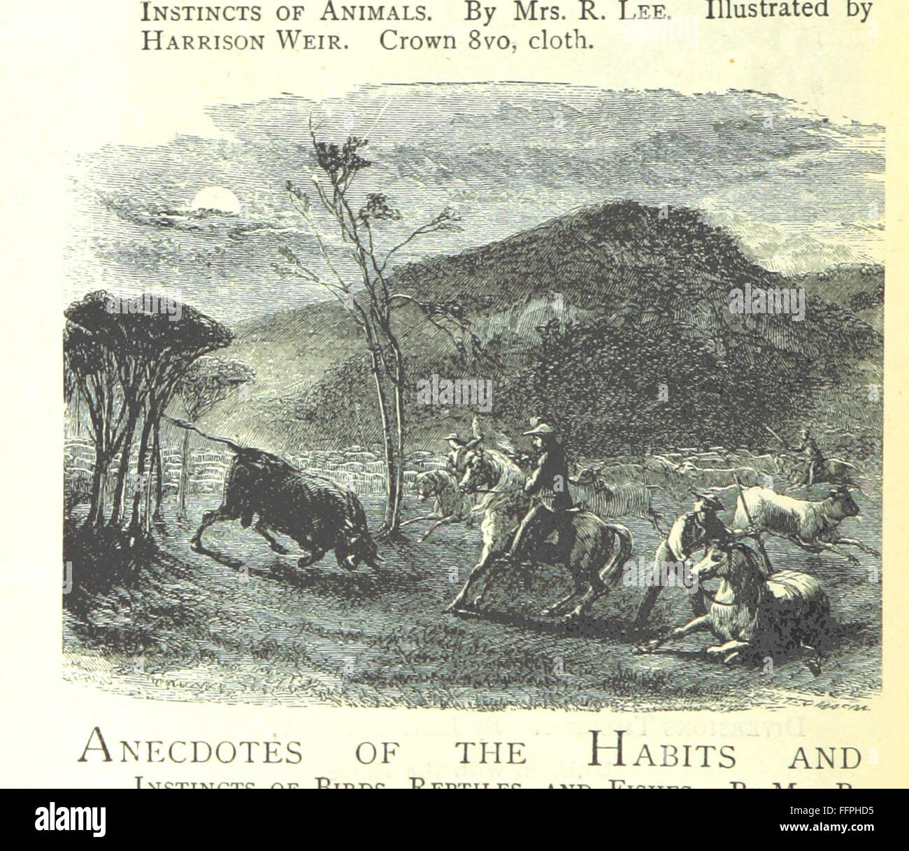 This book presents true stories from Roman history, illustrated with ...