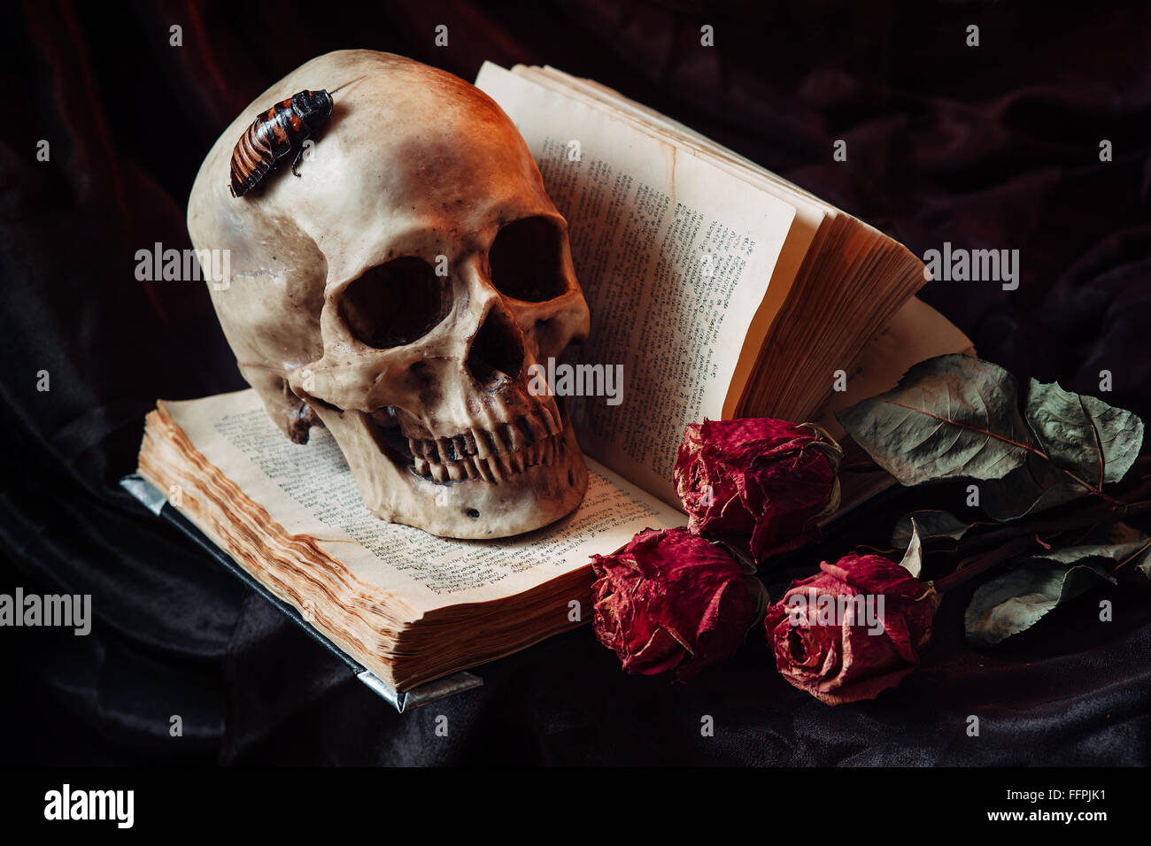 Book vintage skull hi-res stock photography and images - Alamy