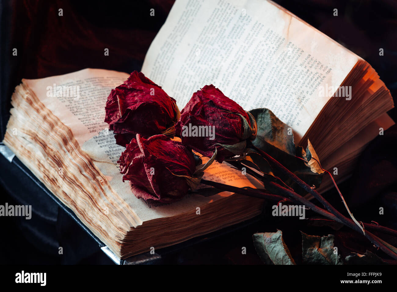 Still life with old book and roses Stock Photo