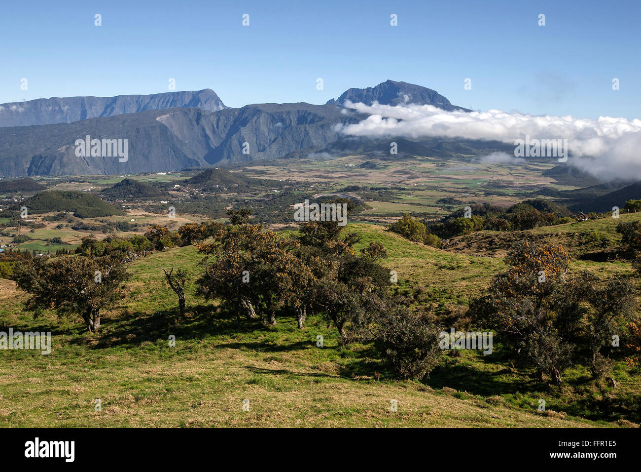 Landscape with trees, behind the mountain Piton de Neiges with clouds, UNESCO World Heritage