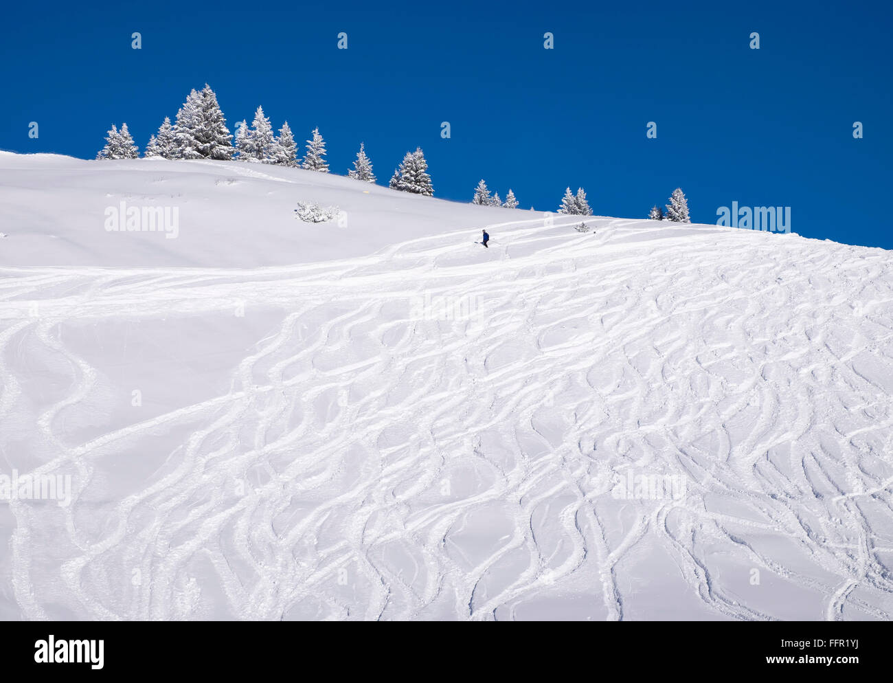 Ski slope, powder snow, ski resort Brauneck, Isarwinkel, Bavarian Prealps, Upper Bavaria, Bavaria, Germany Stock Photo