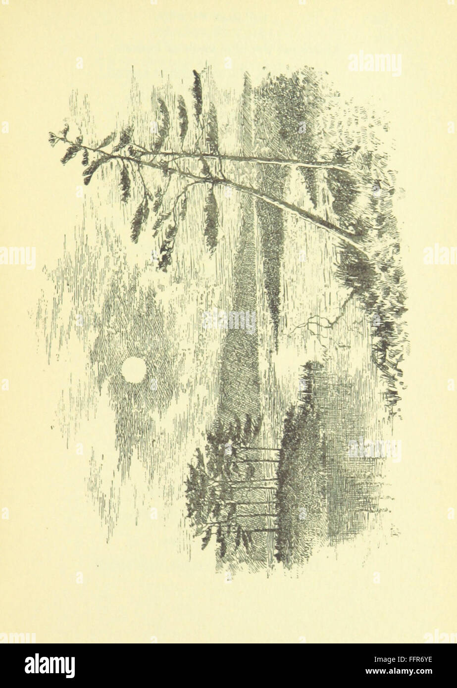 A collection of light-hearted poems exploring various themes with a ...