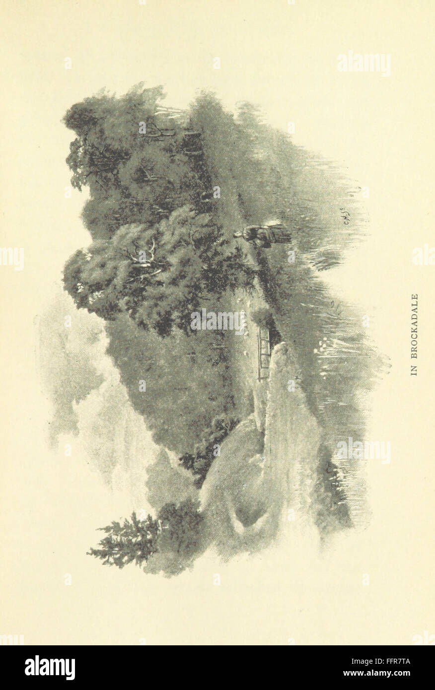 55 of 'The Wonderful Wapentake. [Stories.]' Stock Photo Alamy