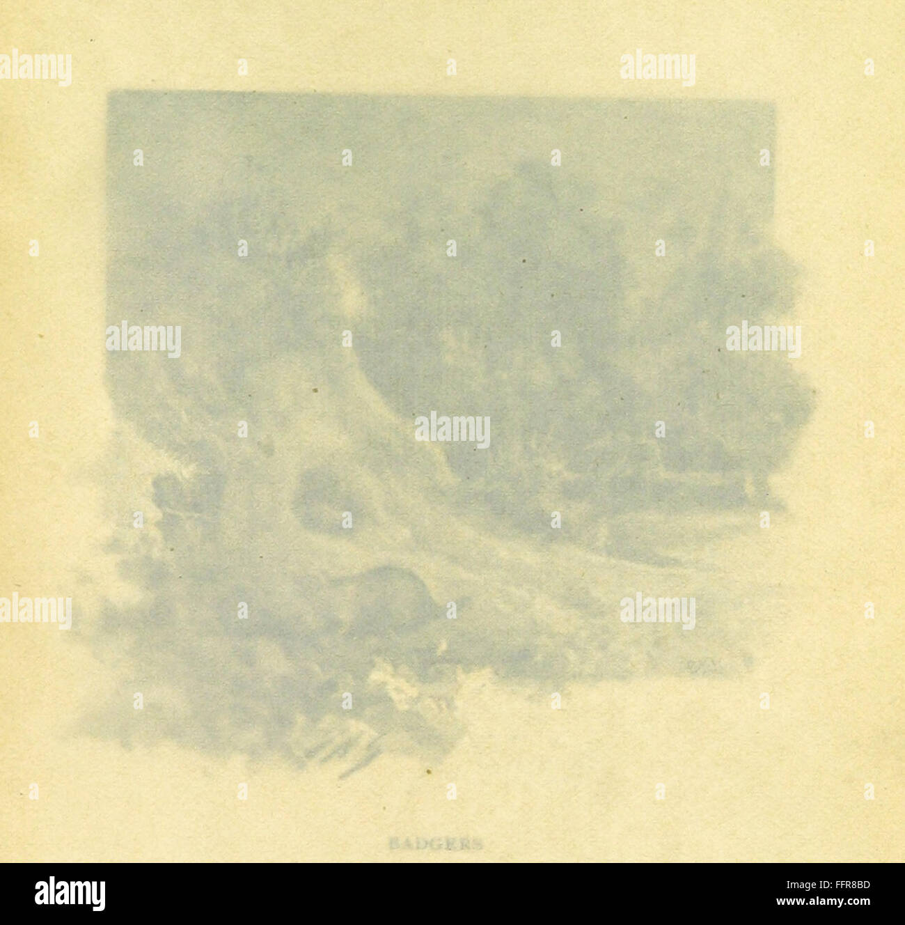 29 of 'The Wonderful Wapentake. [Stories.]' Stock Photo Alamy