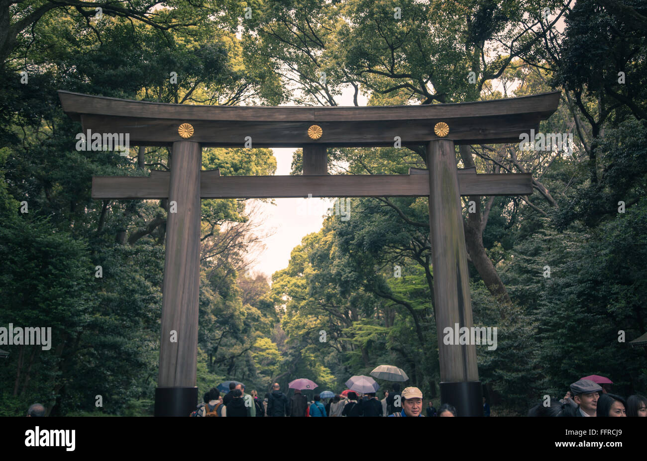 The torii gate at the entrance of the Meiji Shrine in Tokyo, Japan. Stock Photo