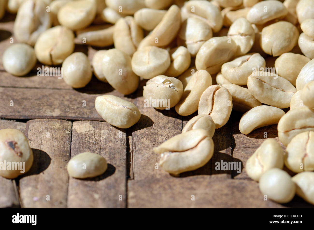 Sun drying parchment coffee Stock Photo Alamy