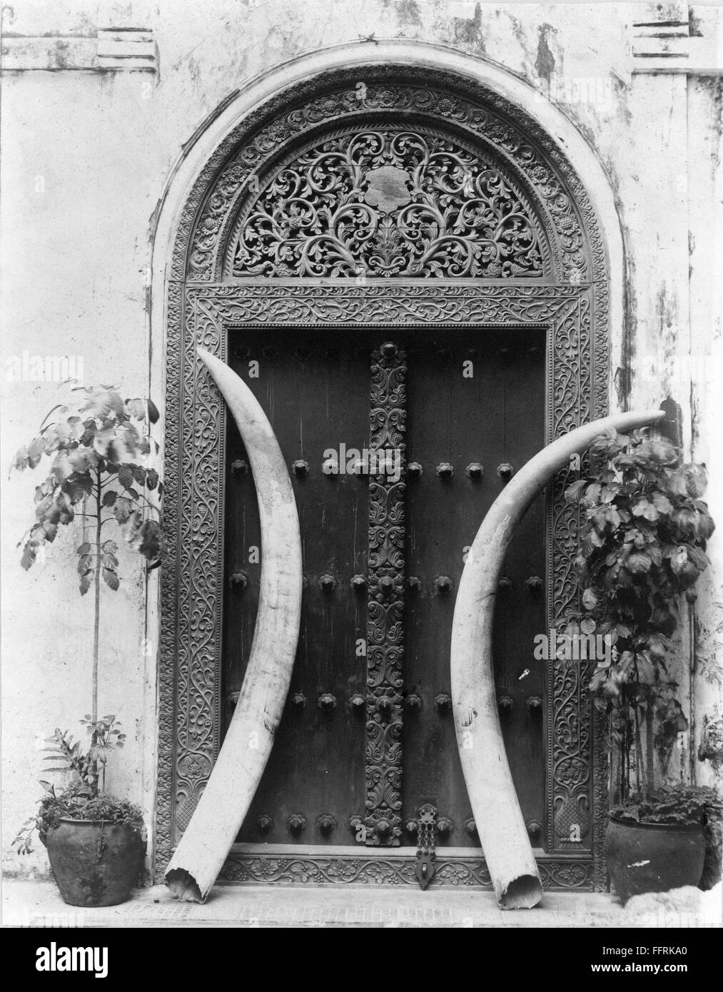 ZANZIBAR: DOORWAY & TUSKS. /nCarved doorway with ivory tusks
