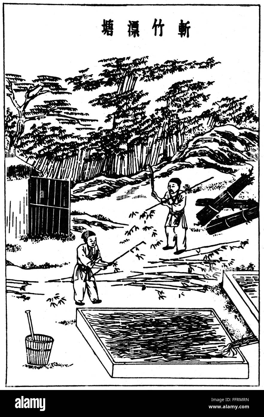 CHINA: PAPER MANUFACTURE. /nBamboo being cut and placed into pools of water, to form the pulp used in the making of paper. Chinese woodcut, 1643. Stock Photo