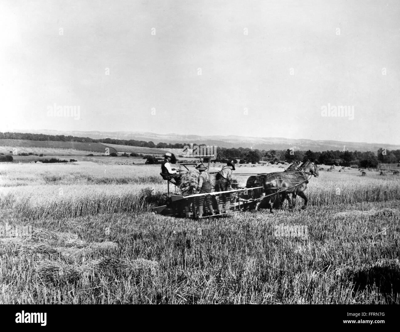 Reaper and binder High Resolution Stock Photography and Images - Alamy